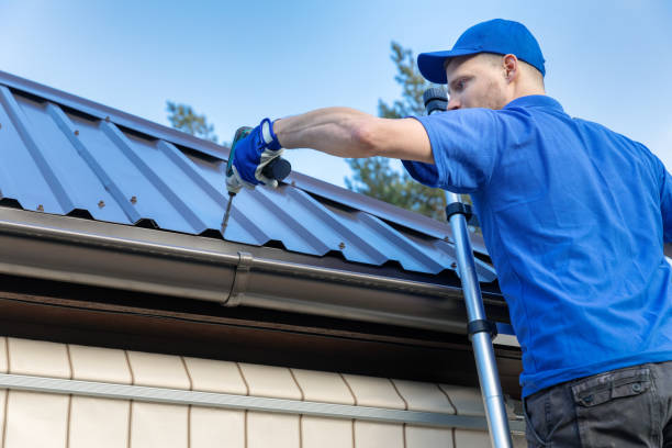 Best Roof Moss and Algae Removal  in Bloomfield, NM