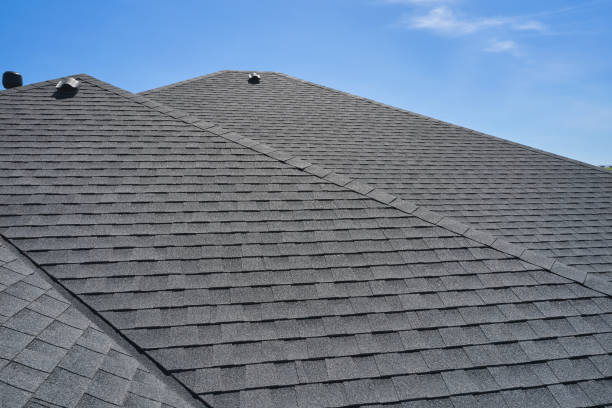 Best Metal Roofing Installation  in Bloomfield, NM
